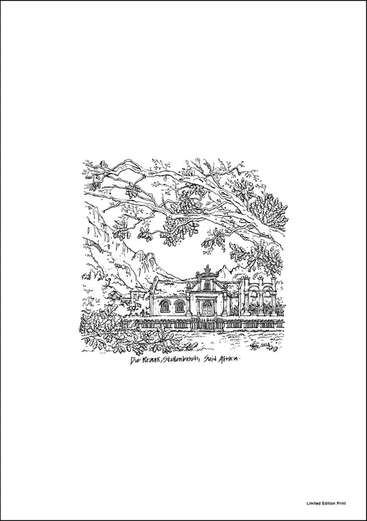 Stellenbosch_ The Braak